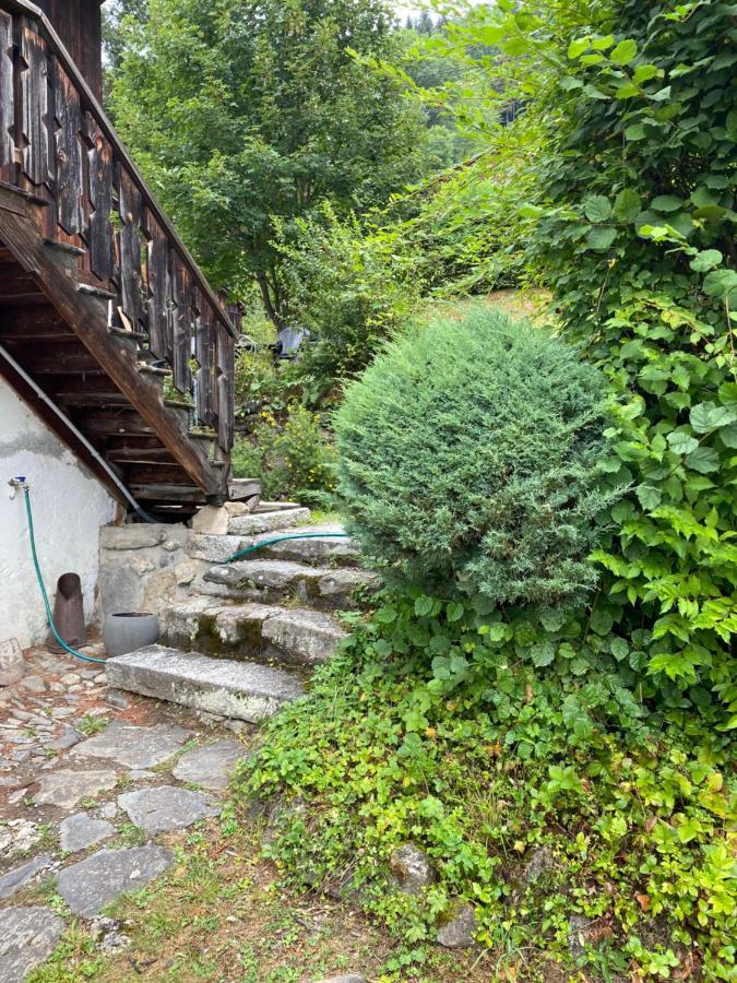 סן-ג'רבה-לה-באן Chalet Le Triollet מראה חיצוני תמונה